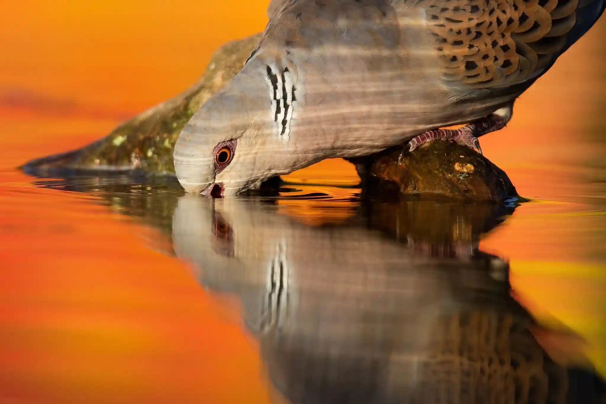 the  villa overlooks dramatic mountainous scenery